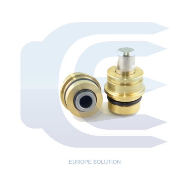 Plunger for YUCHAI 000009781