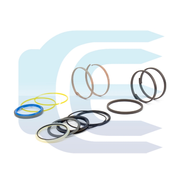 Arm Cylinder Seal Kit for CASE CX210 CX225 LZ00446