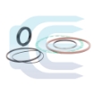 Seal Kit for BOBCAT T200 T250 T300 T320 6691249 rieboksliu komplektas