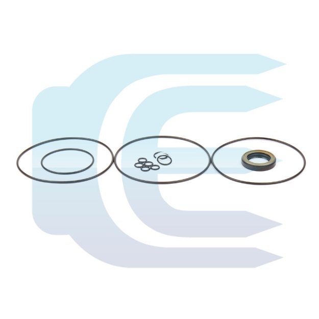 Hydraulic Motor Seal Kit for CASE CX130 LJ00721 hidrovariklio riebokšlių komplektas