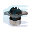 Water Pump for CASE WX145 WX165 WX185 WX210 WX240 6901409 VANDENS POMPA